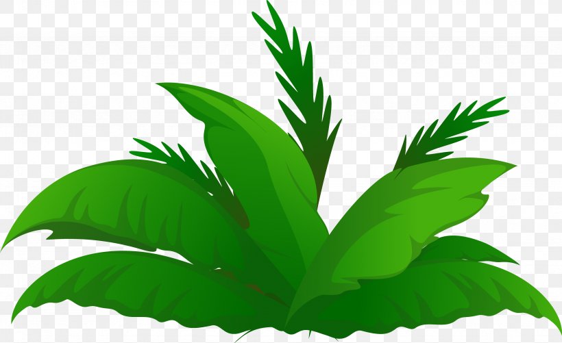 Arecaceae Date Palm Tree Clip Art, PNG, 3492x2135px, Arecaceae, Arecales, Coconut, Date Palm, Flowerpot Download Free