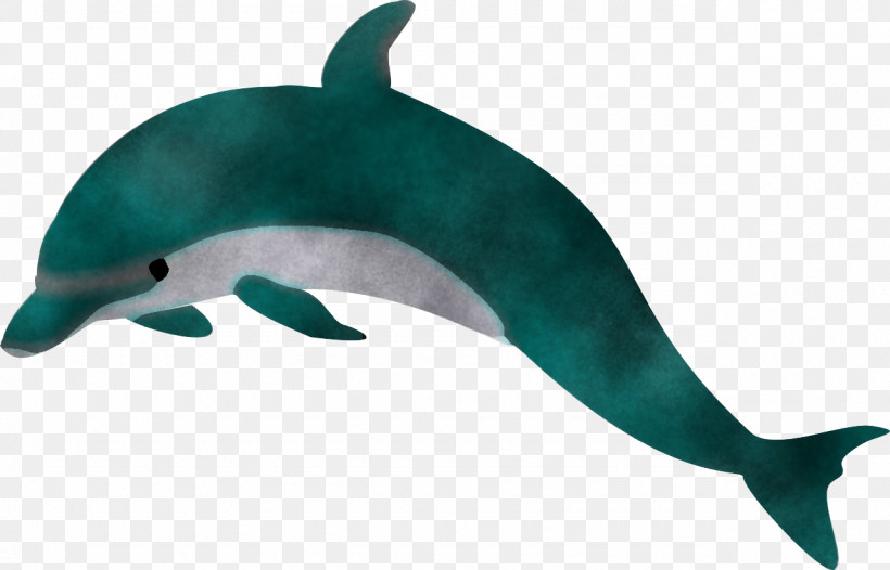 Dolphin Bottlenose Dolphin Cetacea Animal Figure Common Dolphins, PNG, 1280x822px, Dolphin, Animal Figure, Bottlenose Dolphin, Bowhead, Cetacea Download Free