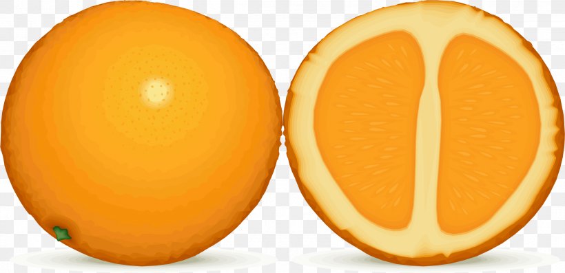 Orange Juice Lemon Fruit Clip Art, PNG, 2327x1129px, Orange Juice, Alphabet, Citrus, English, Food Download Free