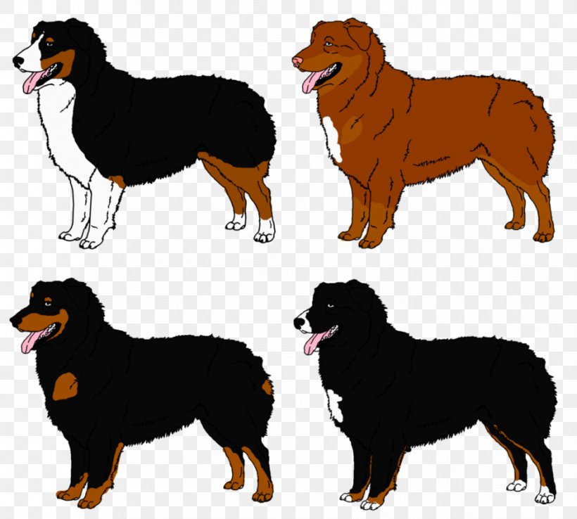 Ancient Dog Breeds Companion Dog Rough Collie, PNG, 942x848px, Dog Breed, Ancient Dog Breeds, Breed, Breed Group Dog, Carnivoran Download Free