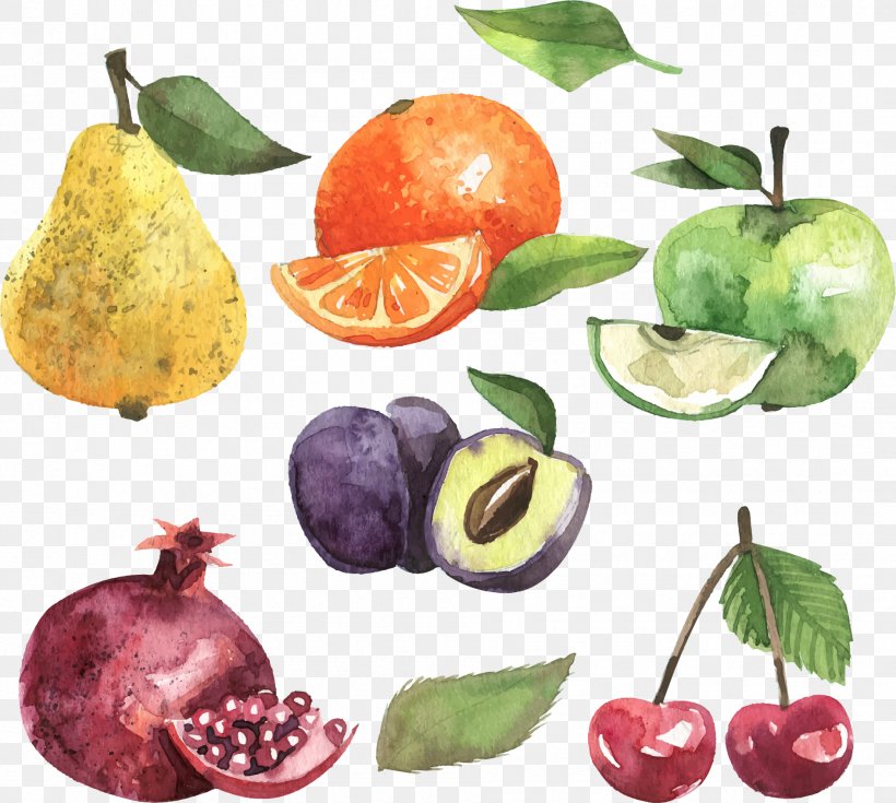 Apple Fruit Euclidean Vector, PNG, 1890x1695px, Apple, Accessory Fruit, Citrus, Diet Food, Food Download Free