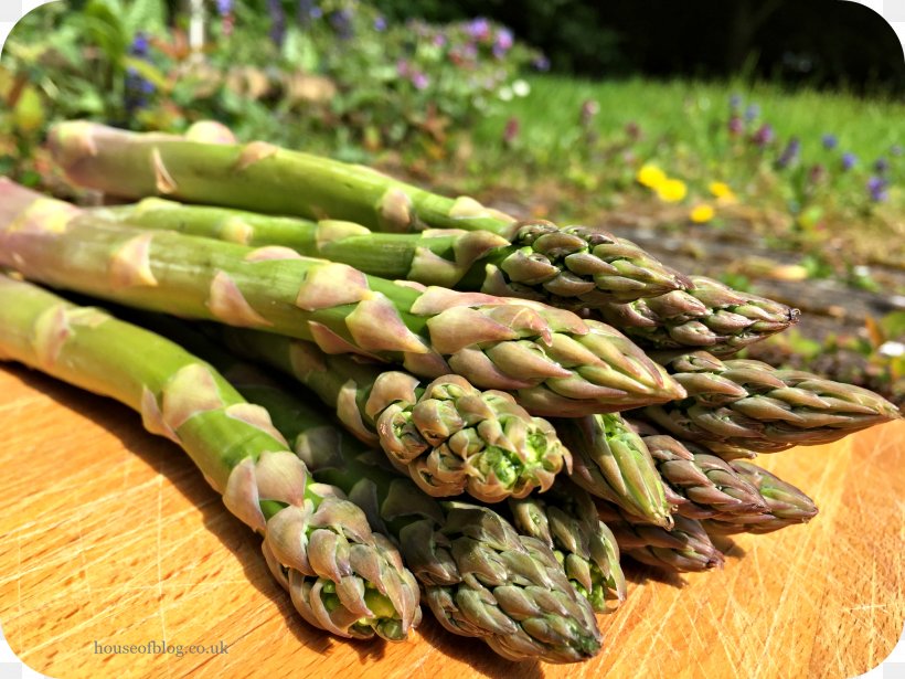 Asparagus Vegetarian Cuisine Food La Quinta Inns & Suites Vegetarianism, PNG, 2048x1536px, Asparagus, Food, La Quinta Inns Suites, Vegetable, Vegetarian Cuisine Download Free