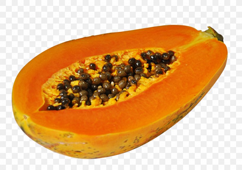 Papaya Protease Apparato Digerente Eating Food, PNG, 1024x723px, Papaya, Amino Acid, Apparato Digerente, Chemical Decomposition, Digestion Download Free