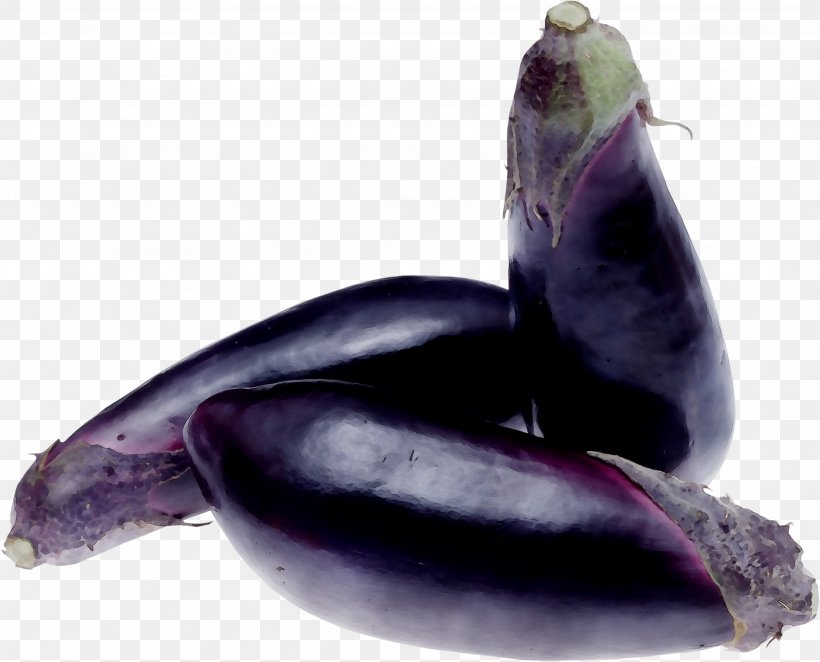 Sea Lion Purple Aubergines, PNG, 3007x2429px, Sea Lion, Aubergines, Banana, Eggplant, Food Download Free