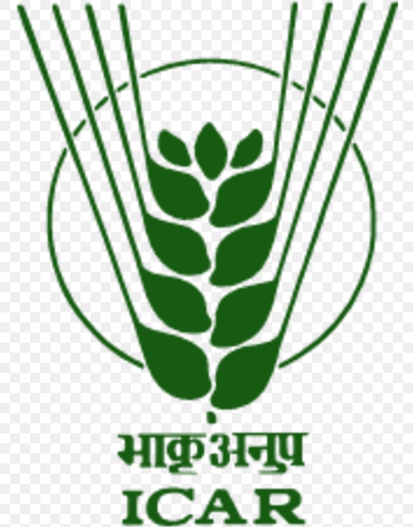 Vasantrao Naik Marathwada Krishi Vidyapeeth Indian Council Of Agricultural Research Indian Agricultural Statistics Research Institute Agriculture Logo, PNG, 760x1046px, Agriculture, Commodity, Grass, Grass Family, India Download Free