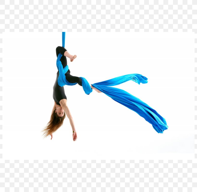 Aerial Silk Acrobatics Circus Aerial Dance, PNG, 800x800px, Aerial Silk, Acrobatics, Aerial Dance, Aerial Hoop, Aerialist Download Free