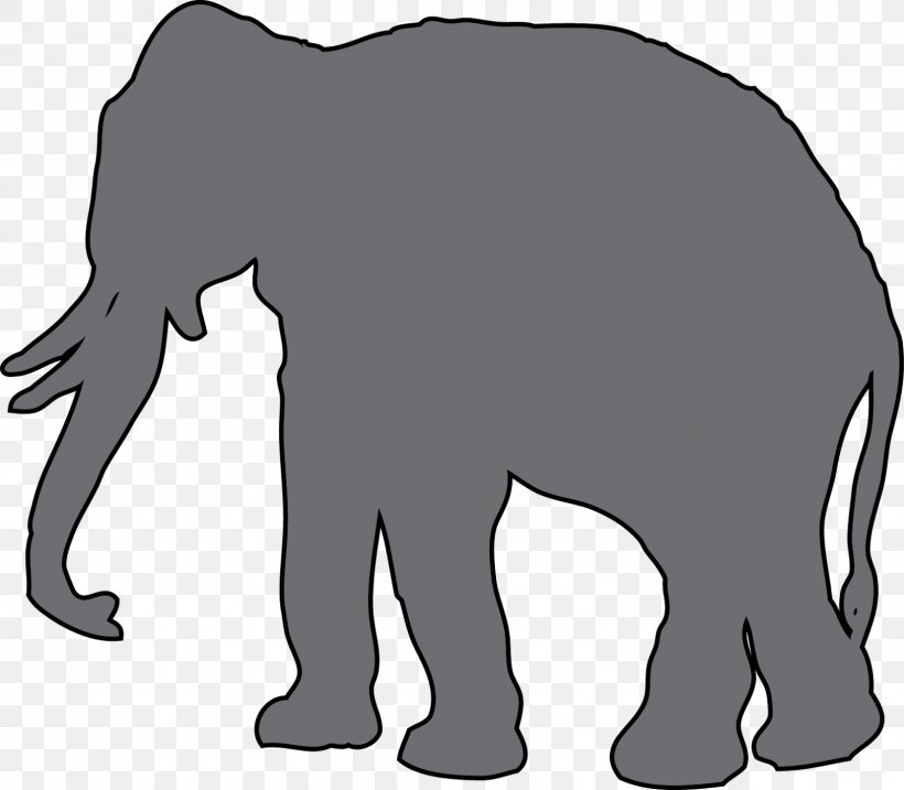 African Elephant Animal Indian Elephant Bear, PNG, 1600x1400px, African Elephant, Animal, Asian Elephant, Bear, Black Download Free