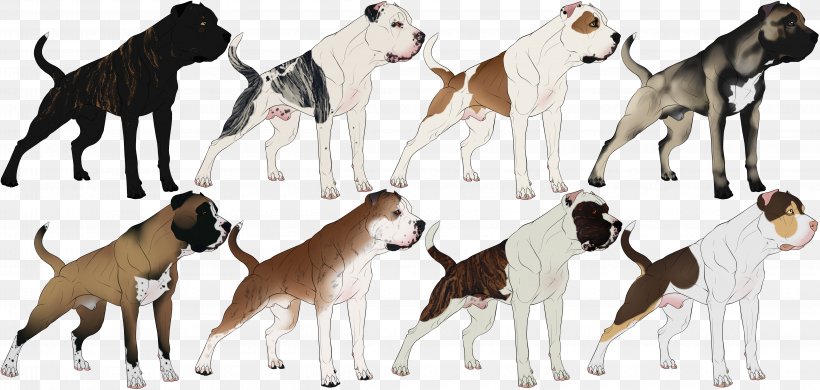 Dog Breed Bandog Whippet Italian Greyhound, PNG, 4550x2165px, Dog Breed, Ancient Dog Breeds, Animal, Bandog, Boxer Download Free