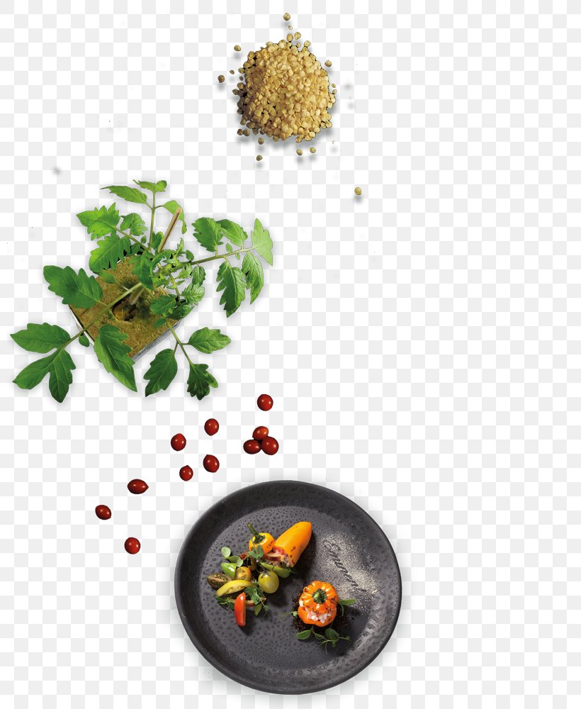 Eminent Food Seed Culture Variety Superfood, PNG, 800x1000px, Seed, Culture, Esprit Holdings, Flowerpot, Food Download Free
