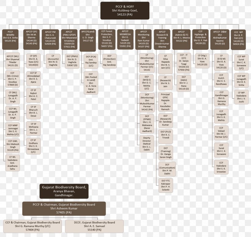 Organizational Chart Principal Chief Conservator Of Forests Management Head Of Forest Forces, PNG, 1307x1238px, Organization, Chart, Management, Organizational Chart Download Free