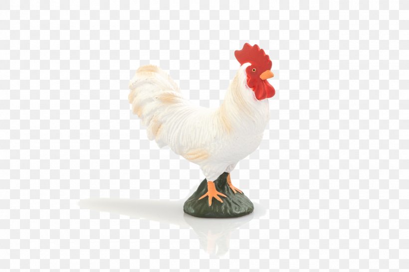 Rooster Chicken Bird Goose Cygnini, PNG, 1280x853px, Rooster, Anatidae, Animal Planet, Beak, Bird Download Free
