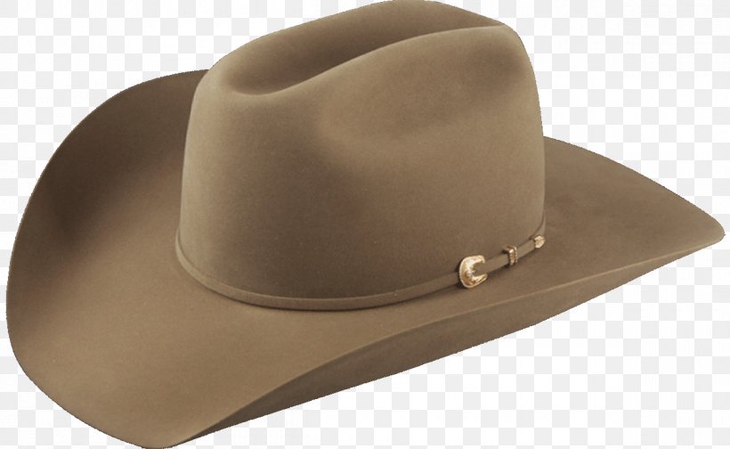 American Hat Company Cowboy Hat Stetson, PNG, 1200x738px, Hat, American Hat Company, Baseball Cap, Boot, Bucket Hat Download Free