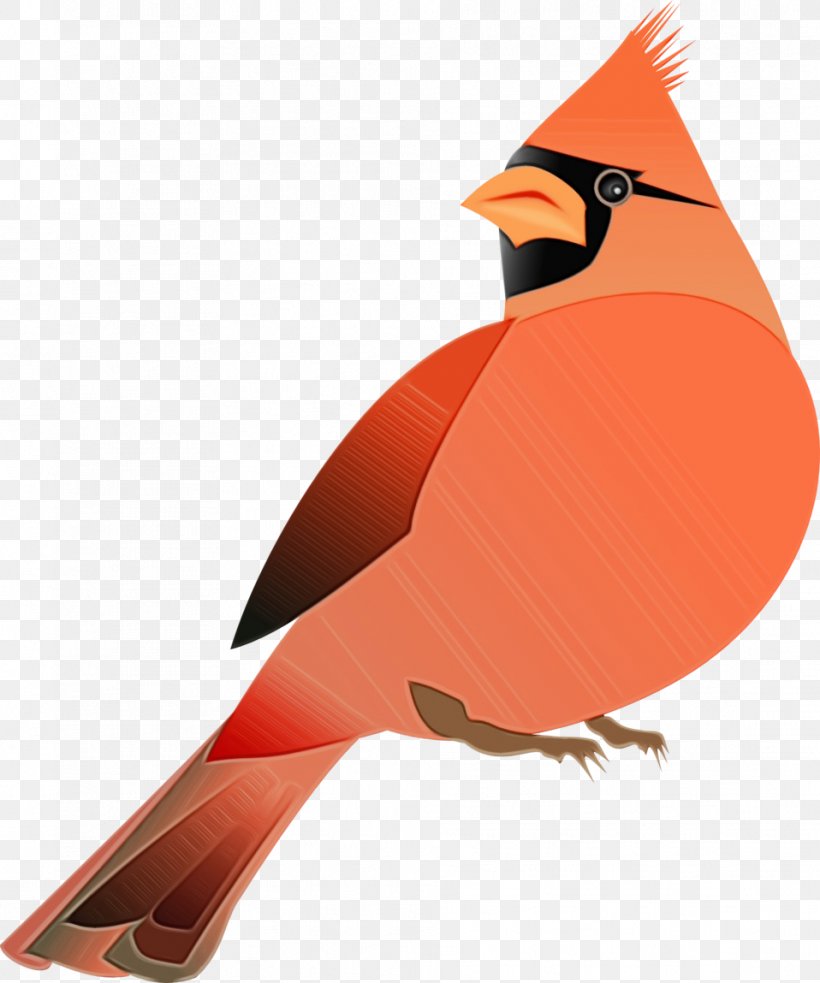 Bird Northern Cardinal Cardinal Beak Songbird, PNG, 958x1149px, Watercolor, Beak, Bird, Cardinal, Finch Download Free