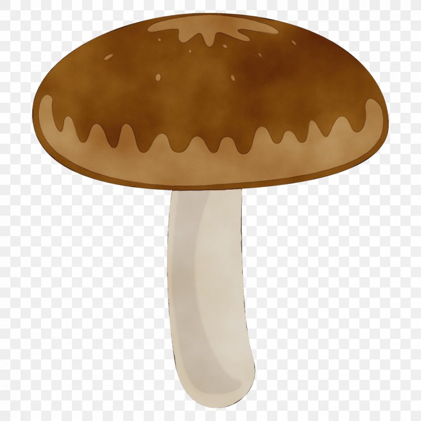 Mushroom Champignon Mushroom Agaricaceae Shiitake Agaricus, PNG, 1200x1200px, Watercolor, Agaricaceae, Agaricomycetes, Agaricus, Champignon Mushroom Download Free