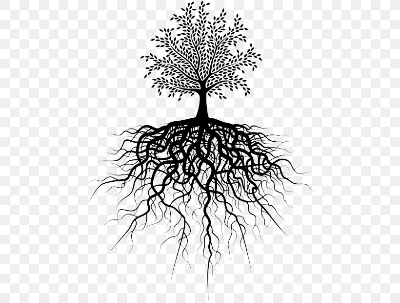 Root Tree Royalty-free, PNG, 470x620px, Root, Black And White, Branch, Depositphotos, Drawing Download Free