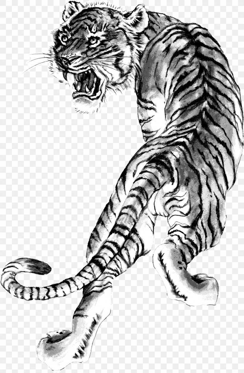 Tiger Whiskers Lion Shaolin Monastery Heihuquan, PNG, 2506x3828px, Tiger, Art, Big Cats, Black And White, Carnivoran Download Free