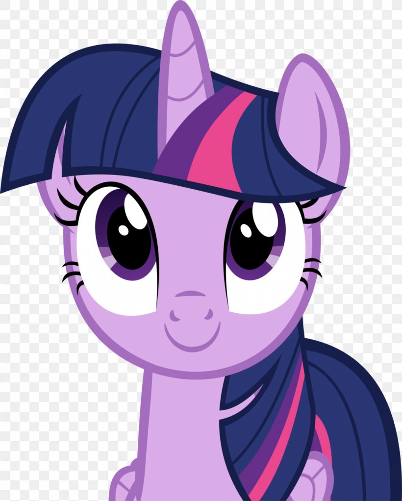 Twilight Sparkle Rarity Rainbow Dash Pinkie Pie Pony, PNG, 1024x1277px, Watercolor, Cartoon, Flower, Frame, Heart Download Free