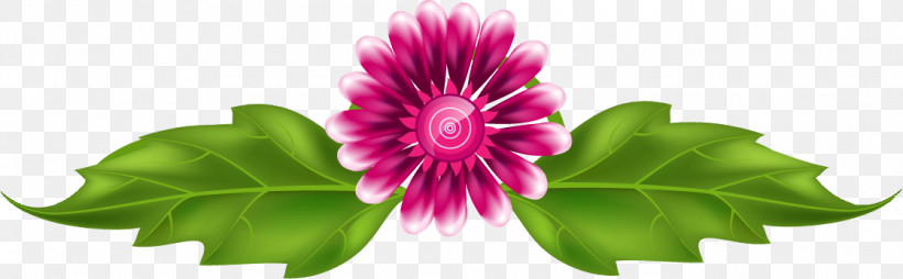 Flower Border Flower Background, PNG, 1117x346px, Flower Border, Annual Plant, Flower, Flower Background, Magenta Download Free