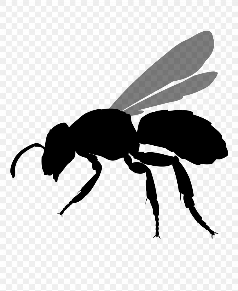 Bee Hornet Clip Art, PNG, 2000x2448px, Bee, Arthropod, Black And White, Fly, Hornet Download Free