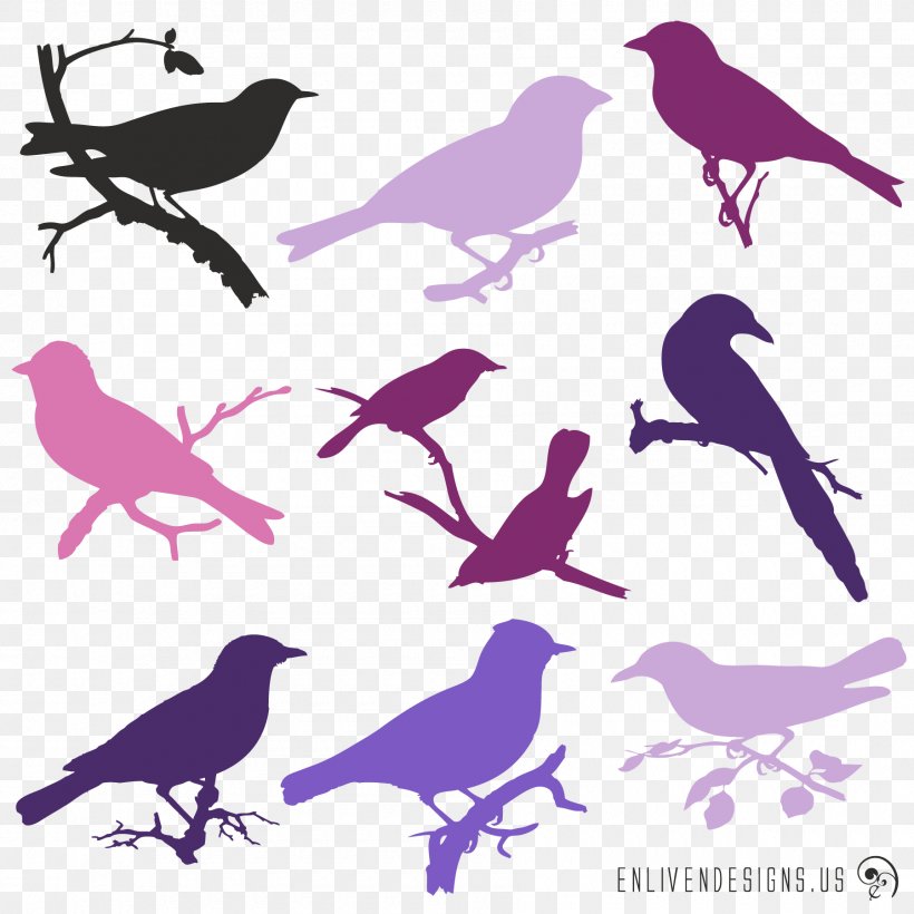 Bird Purple Silhouette Violet Lavender, PNG, 1800x1800px, Bird, Beak, Blue, Branch, Embellishment Download Free