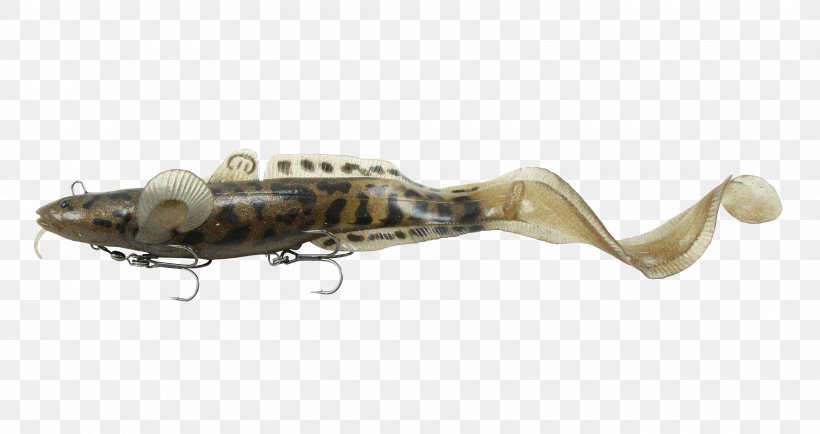 Fishing Baits & Lures Northern Pike Swimbait Burbot, PNG, 3600x1908px, Fishing Baits Lures, Bait, Bait Fish, Burbot, Fishing Download Free