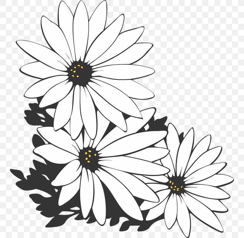 Floral Design Flower PhotoScape, PNG, 753x800px, Floral Design, Area, Artwork, Black And White, Chrysanths Download Free