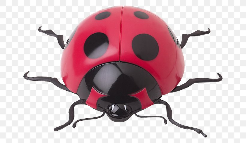 Insect Ladybird Coccinella Septempunctata Clip Art, PNG, 700x475px, Insect, Arthropod, Beetle, Child, Coccinella Septempunctata Download Free
