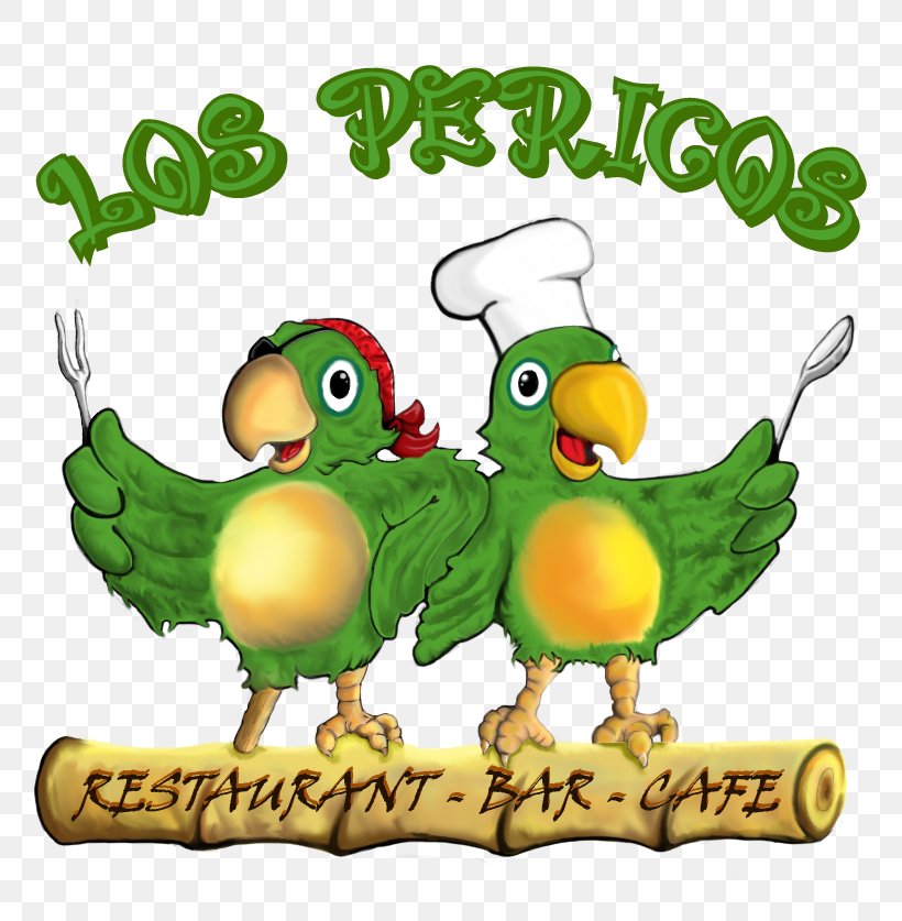 Los Pericos Restaurant Bar Cafe Parrot DeviantArt, PNG, 800x837px, Parrot, Bar, Beak, Bird, Blog Download Free