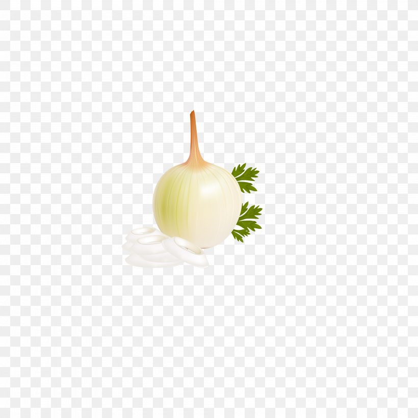 Onion Scallion Allium Fistulosum Garlic, PNG, 4000x4000px, Onion, Allium Fistulosum, Bell Pepper, Food, Fruit Download Free