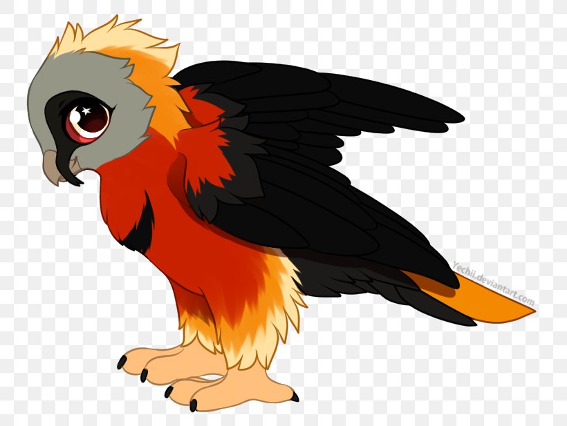 Parrot Clip Art Illustration Bird Beak, PNG, 774x617px, Parrot, Beak, Bird, Bird Of Prey, Fauna Download Free