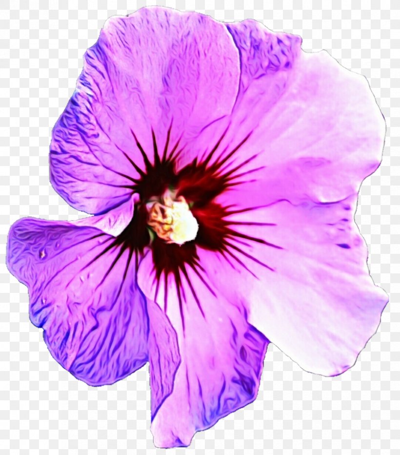 Pink Flower Cartoon, PNG, 838x953px, Purple, Blue, Flower, Geraniaceae, Geranium Download Free