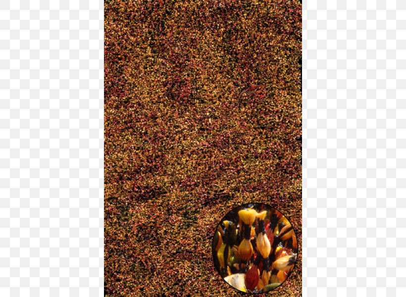 Shag Carpet Flokati Rug TEMA Contemporary Furniture Color, PNG, 600x600px, Shag, Carpet, Color, Flokati Rug, Floor Download Free