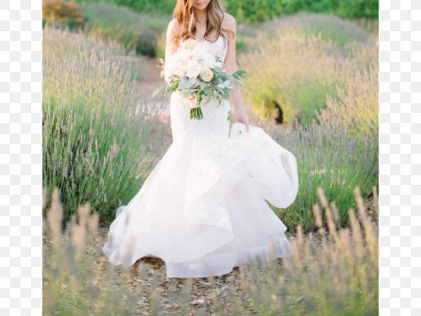 Sonoma Wedding Dress Bride Napa, PNG, 1024x768px, Sonoma, Bridal Clothing, Bride, Dress, Flower Download Free