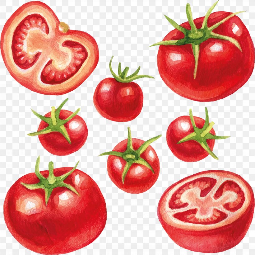Vegetable Illustration Fruit Image Royalty-free, PNG, 8272x8270px, Vegetable, Apple, Bush Tomato, Cherry Tomato, Diet Food Download Free