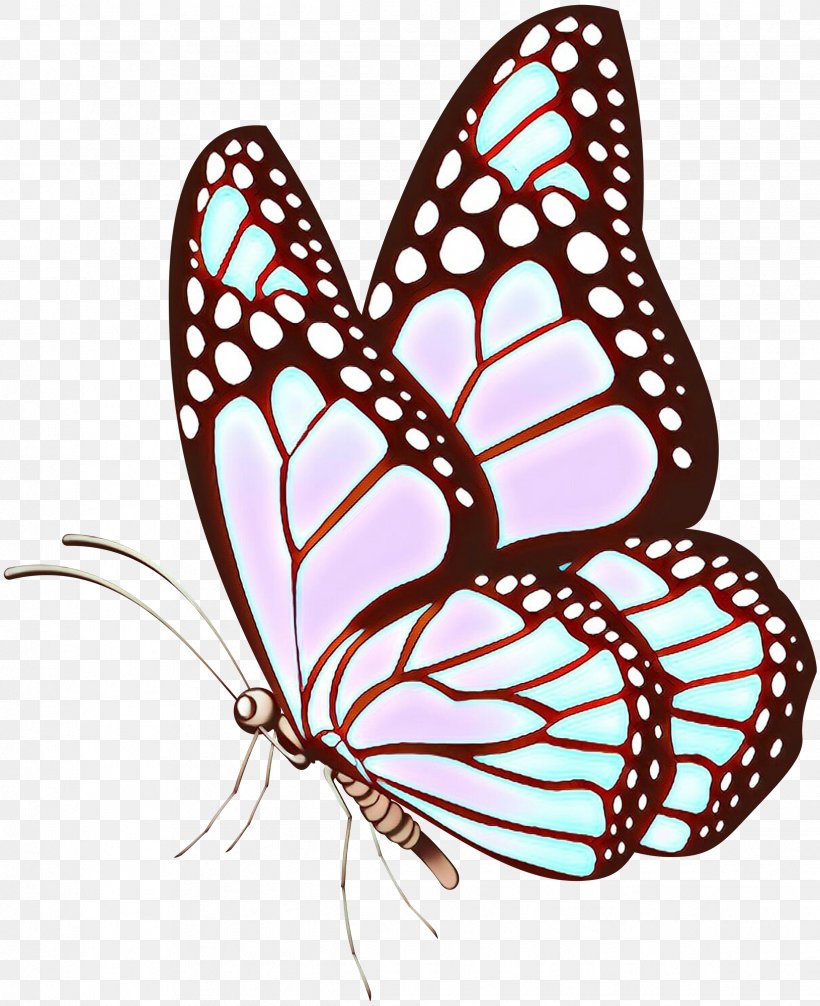 Butterfly Vector Graphics Clip Art Drawing Illustration, PNG, 2443x3000px, Butterfly, Art, Brushfooted Butterfly, Drawing, Insect Download Free