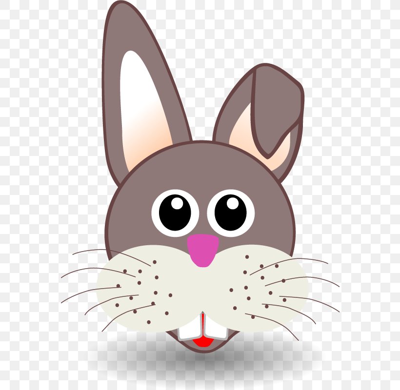 Easter Bunny Santa Claus Paper Clip Art, PNG, 800x800px, Easter Bunny, Cartoon, Cat, Child, Coloring Book Download Free