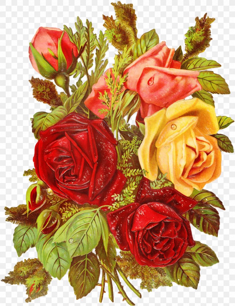 Garden Roses Cabbage Rose Floral Design Cut Flowers, PNG, 860x1123px, Garden Roses, Artificial Flower, Black Rose, Cabbage Rose, Cut Flowers Download Free