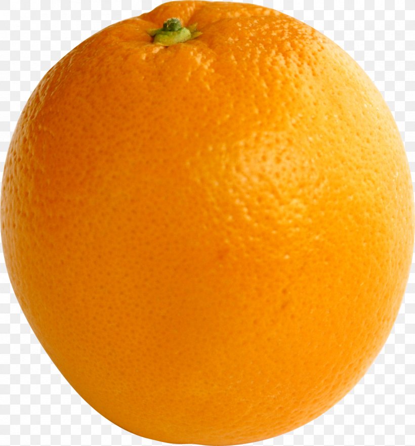 Orange Juice Tangerine Tangelo Blood Orange, PNG, 1315x1416px, Mandarin Orange, Bitter Orange, Blood Orange, Citric Acid, Citrus Download Free