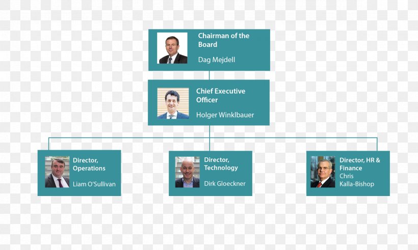 Organizational Chart Senior Management Board Of Directors Chief Executive, PNG, 2362x1417px, Organization, Board Of Directors, Brand, Business, Chart Download Free