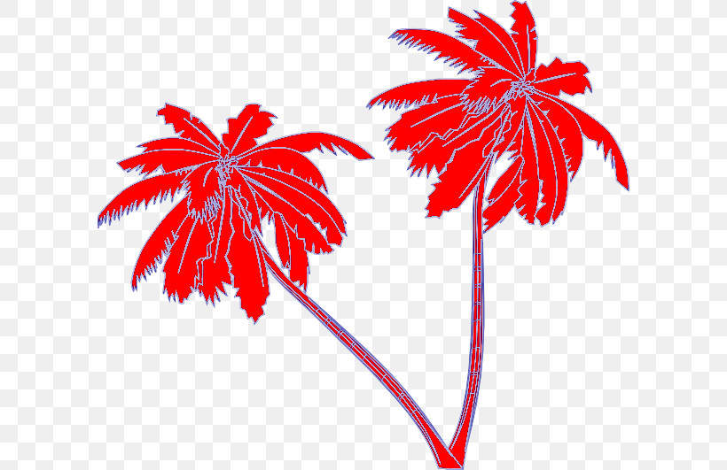 Palm Tree, PNG, 600x531px, Leaf, Arecales, Flower, Palm Tree, Plant Download Free