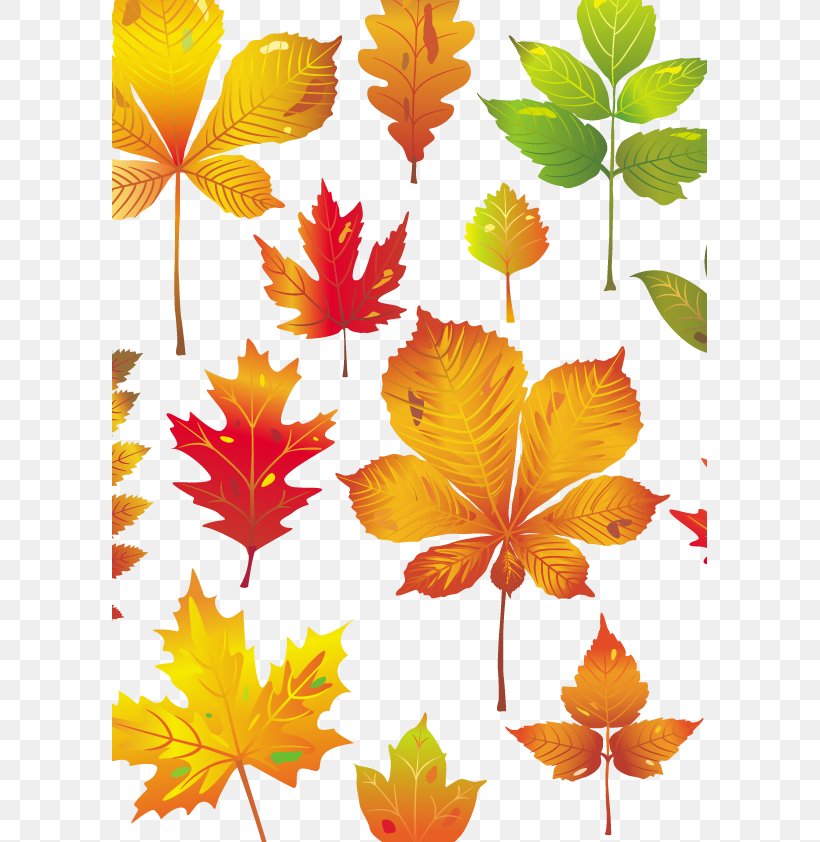 Vector Leaf, PNG, 595x842px, Autumn, Autumn Leaf Color, Branch, Flora, Floral Design Download Free