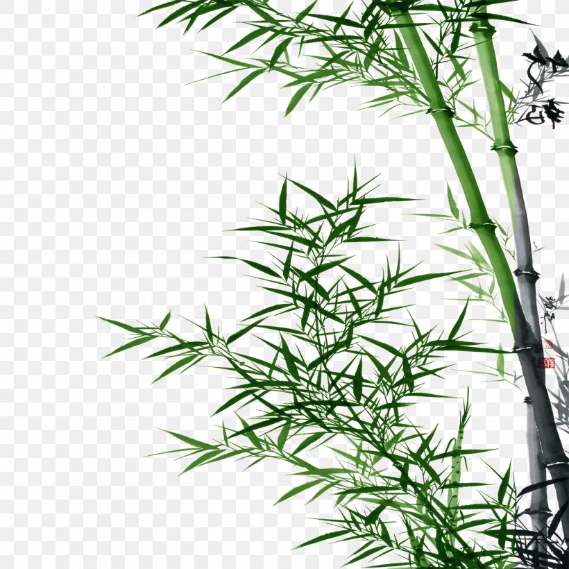 Bamboo Asparagus Setaceus, PNG, 1417x1417px, Bamboo, Asparagus, Asparagus Setaceus, Blog, Data Download Free