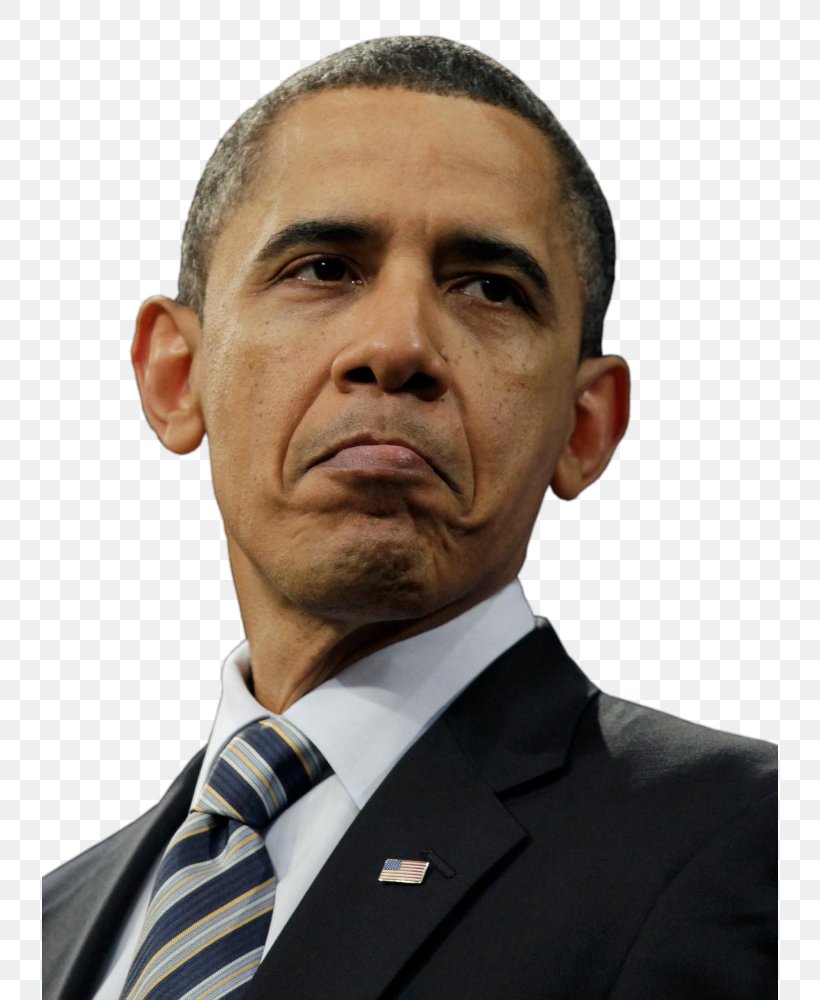 Barack Obama President Of The United States Patient Protection And Affordable Care Act Frown, PNG, 736x1000px, Barack Obama, Business Executive, Businessperson, Chin, Donald Trump Download Free