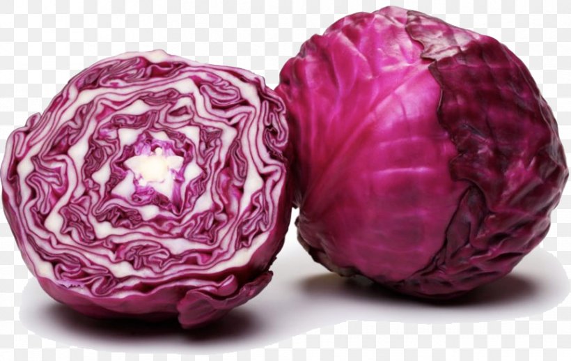 Red Cabbage Capitata Group Brussels Sprout Mulberry Vegetable, PNG, 863x546px, Red Cabbage, Brassica Oleracea, Broccoli, Brussels Sprout, Capitata Group Download Free