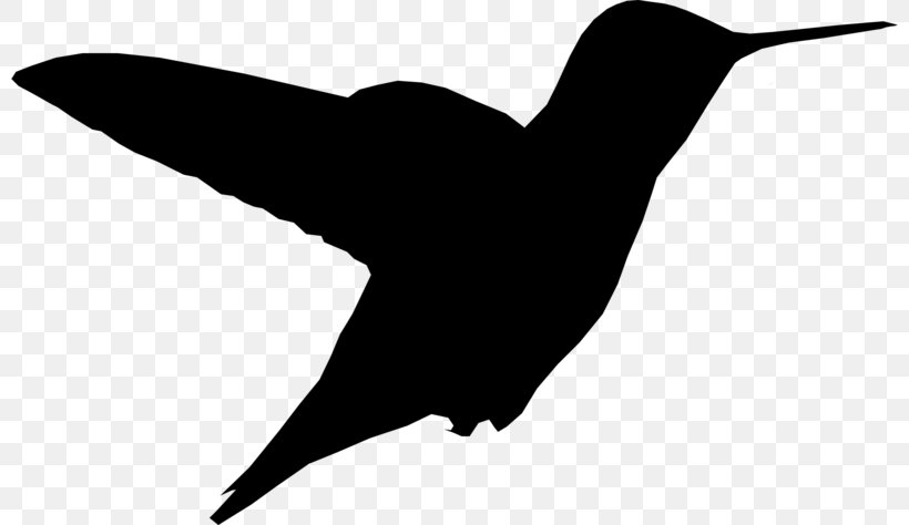 Hummingbird Clip Art Fauna Beak Silhouette, PNG, 800x474px, Hummingbird, Beak, Bird, Fauna, Seabird Download Free