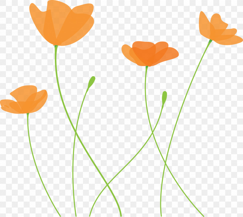 Poppy Flower, PNG, 3000x2679px, Poppy Flower, Coquelicot, Flower, Pedicel, Petal Download Free