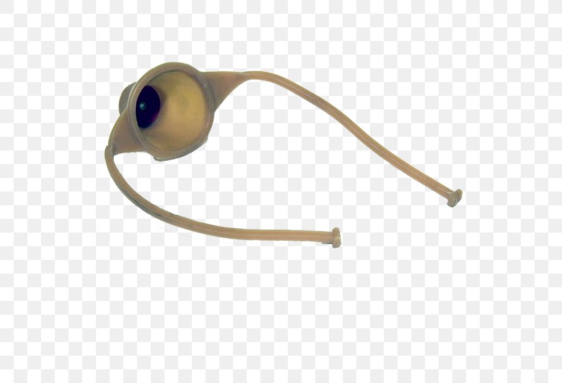 Fishing Bait Goggles Common Carp Glasses, PNG, 560x560px, Fishing, Common Carp, Eyewear, Fishing Bait, Glasses Download Free