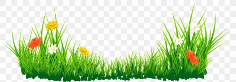 Flower Clip Art, PNG, 850x299px, Flower, Commodity, Editing, Grass, Grass Family Download Free