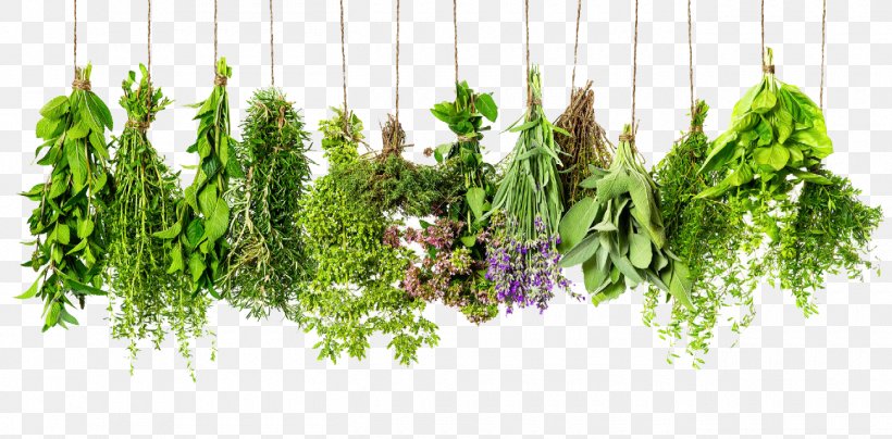 Herb Spice Rosemary Thyme Ingredient, PNG, 1300x642px, Herb, Basil, Common Sage, Condiment, Fines Herbes Download Free
