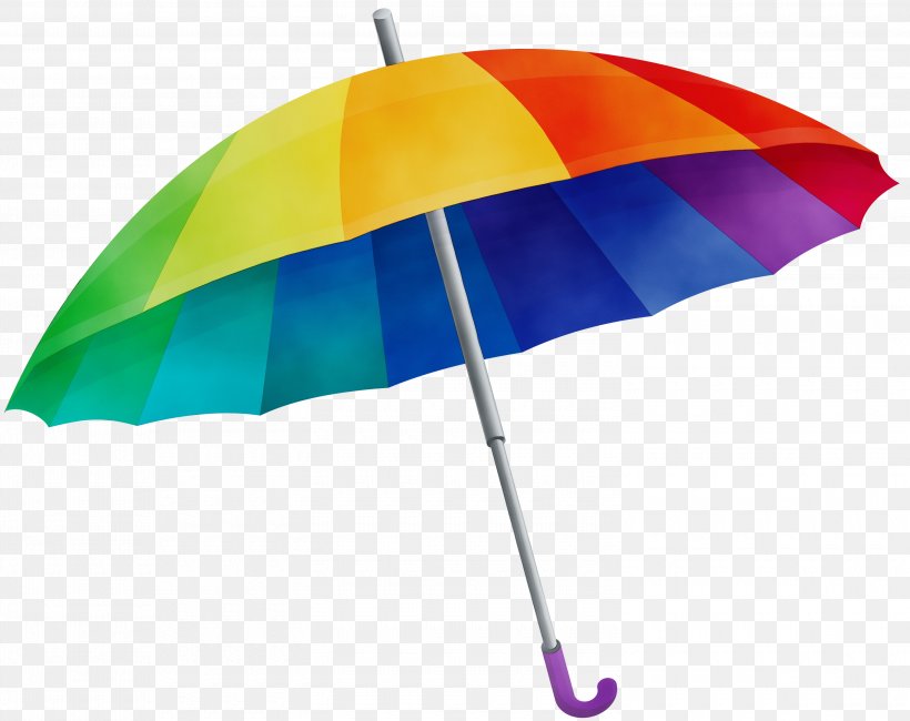 Umbrella Cartoon, PNG, 3000x2381px, Watercolor, Email, Flag, Paint, Shade Download Free